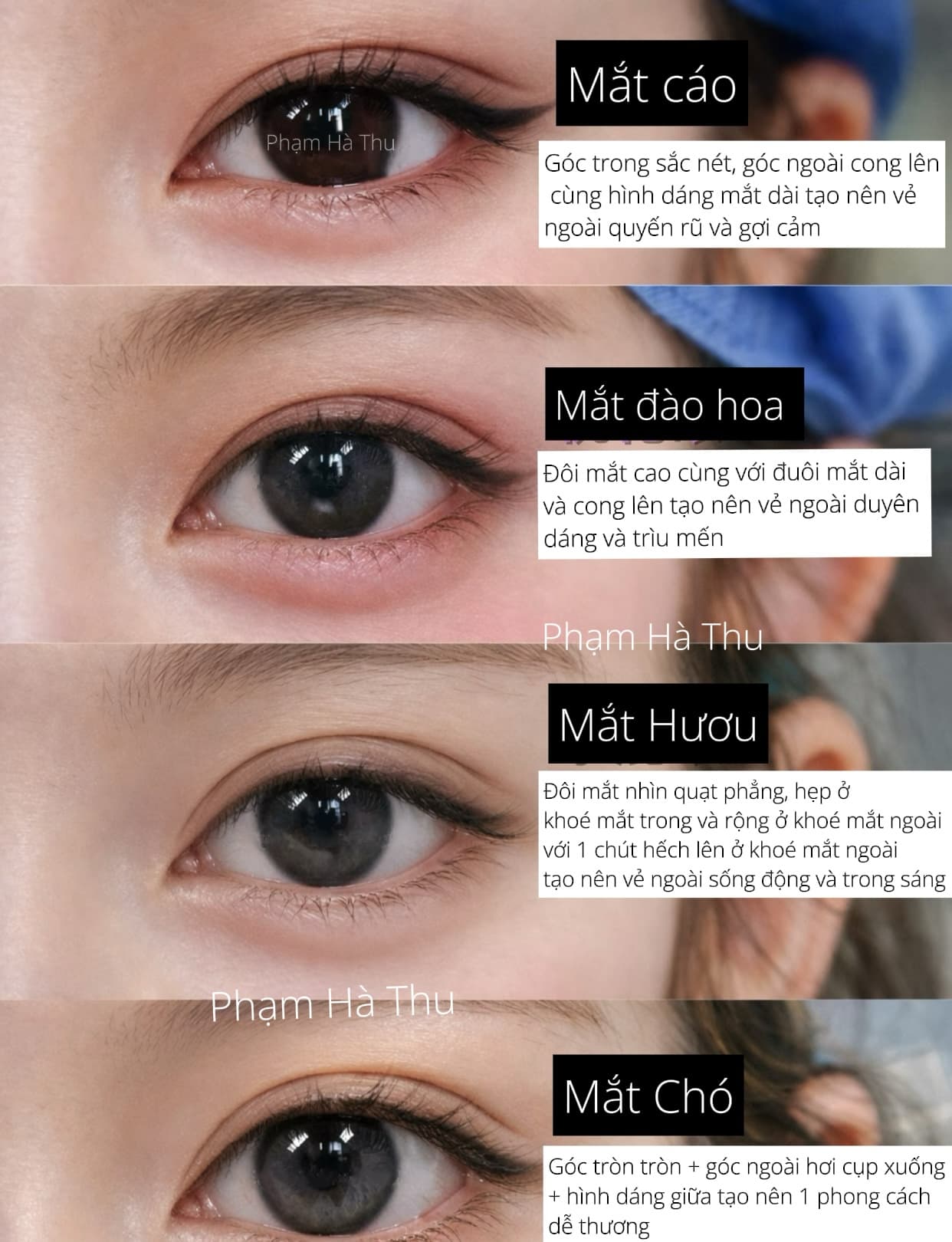 MẮT 5